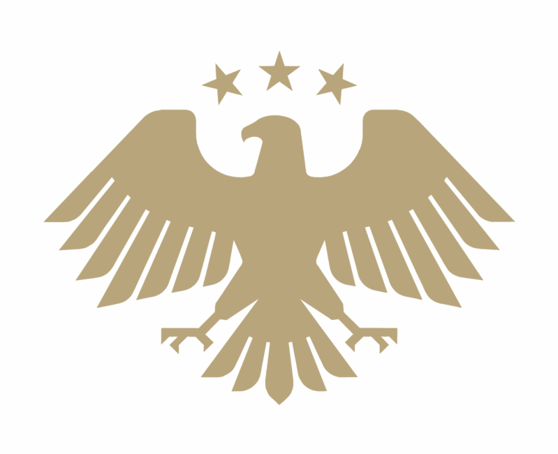coat of arms of syria 2025 800x800 (1)